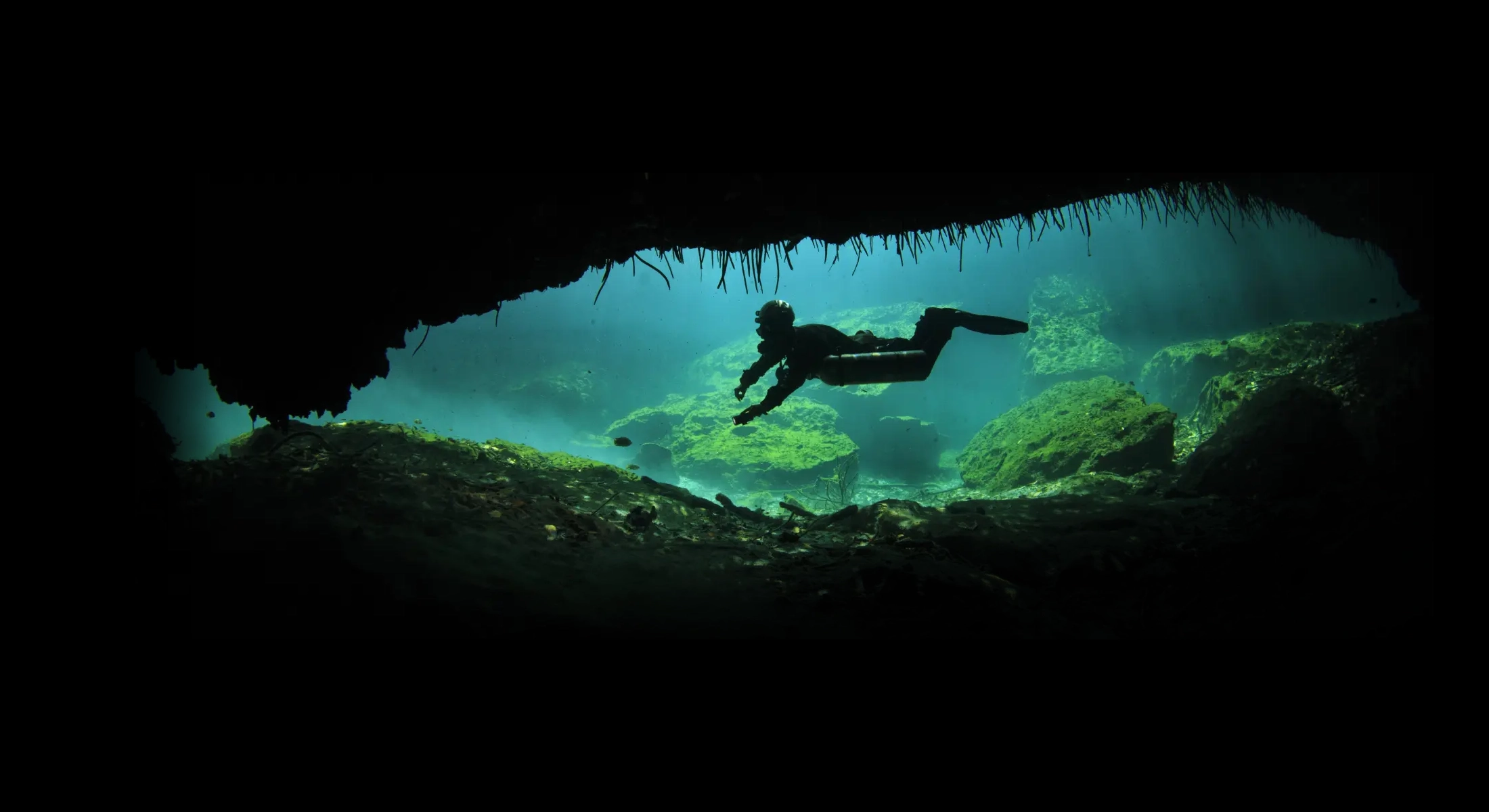 Sukeldumise algkursus (PADI/IANTD OPEN WATER DIVER)